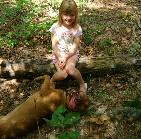 Red Red Nose American Pit Bull Terrier