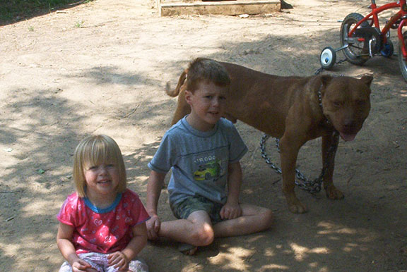 Red Nose Pit Bull Playing with Kids